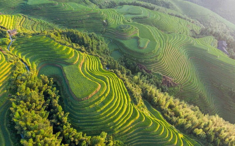 Longsheng Travel Guide - How to Plan a Trip to Longsheng